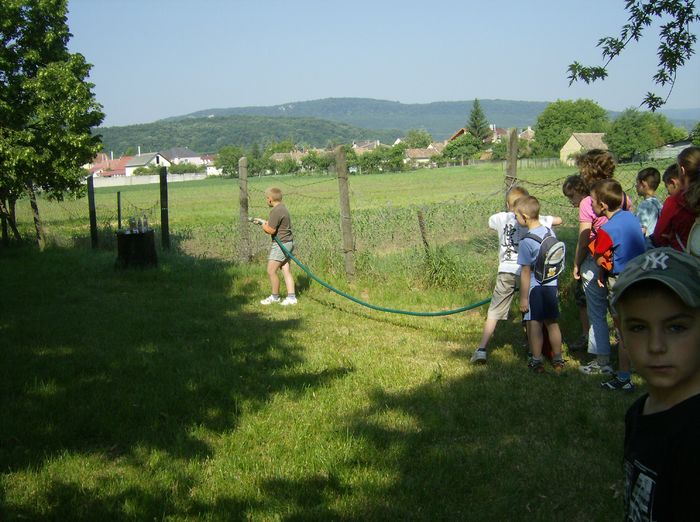 15.jpg