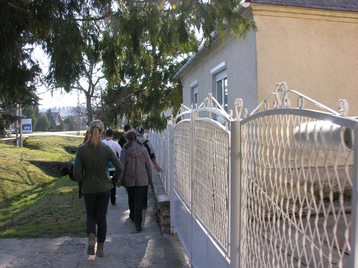149.jpg