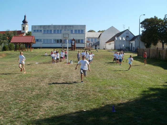 26.jpg