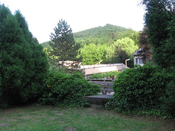 121.JPG