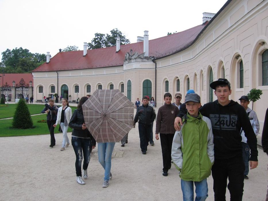 136.JPG
